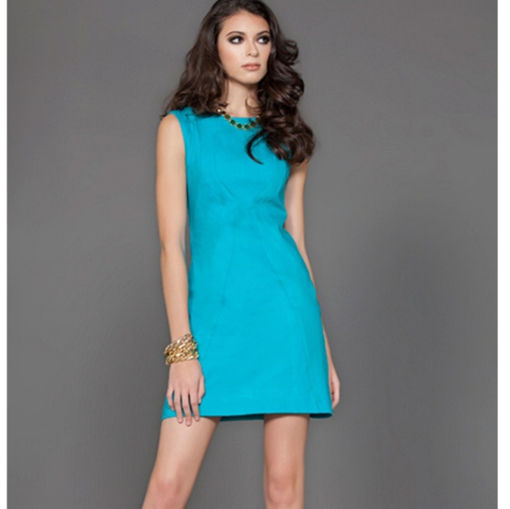 *Host pick!* Jane Panel Dress
